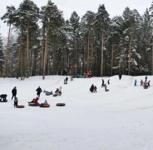 Горки в «Карпатах»